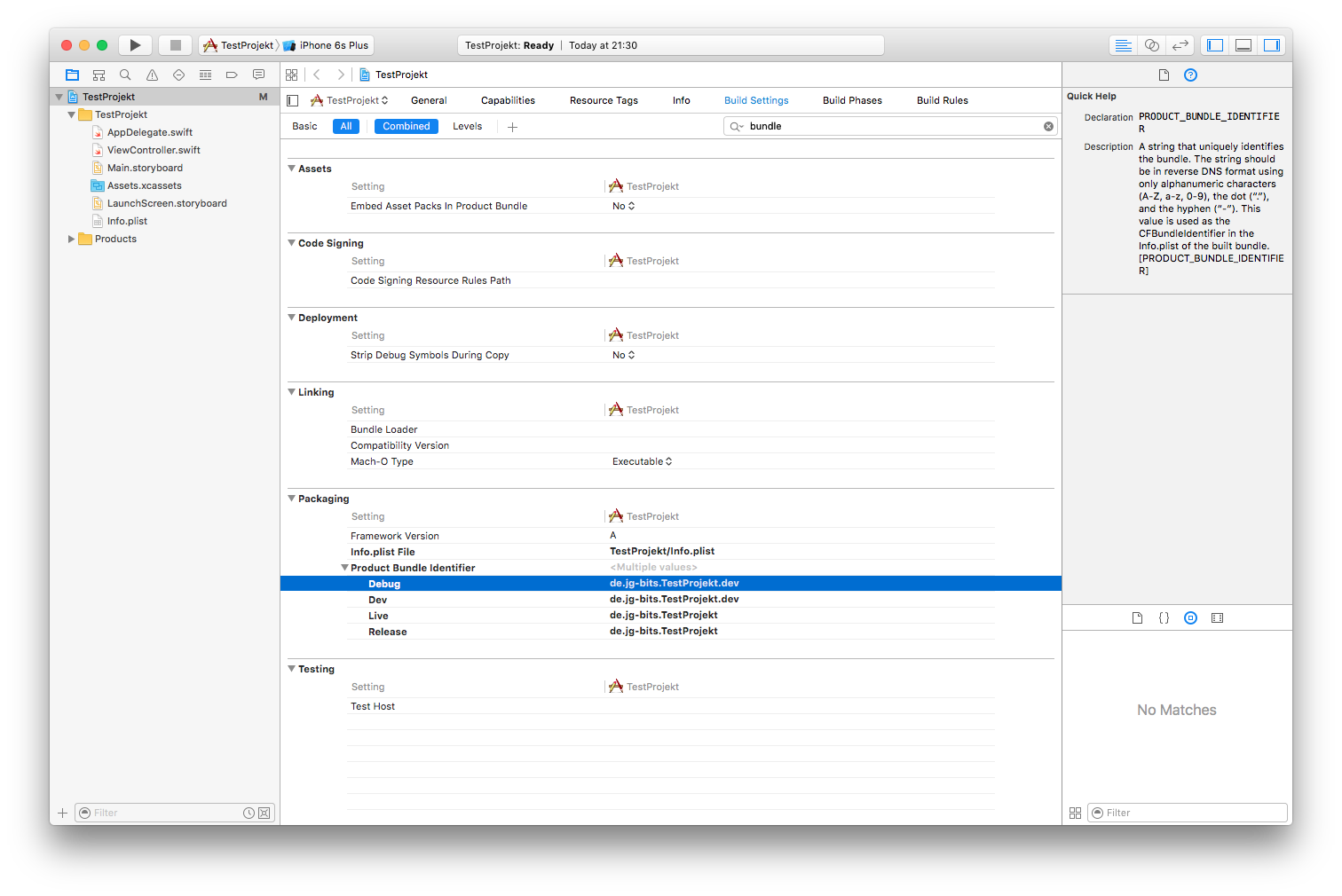 xcode-ios-custom-app-variables